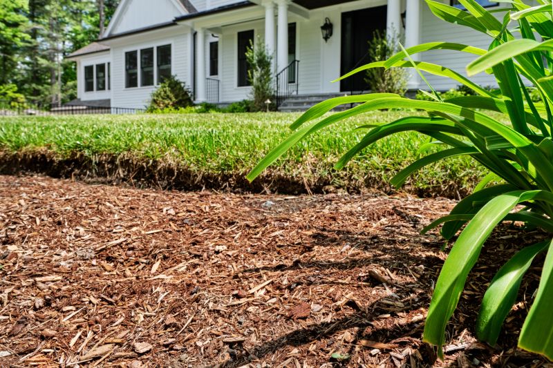 Black Mulch Installation in Honolulu, HI