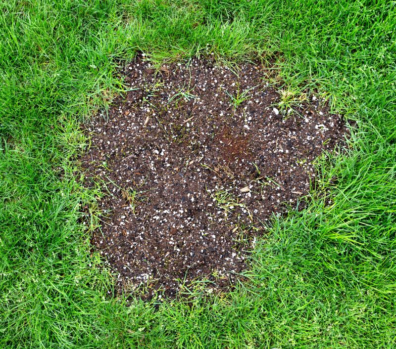 Damaged Yard Repair in Honolulu, HI