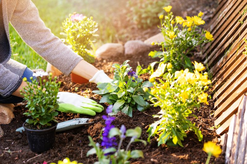 Flower Planting Service in Ventura County, CA