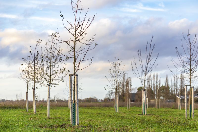 Fruit Tree Planting in Ventura County, CA