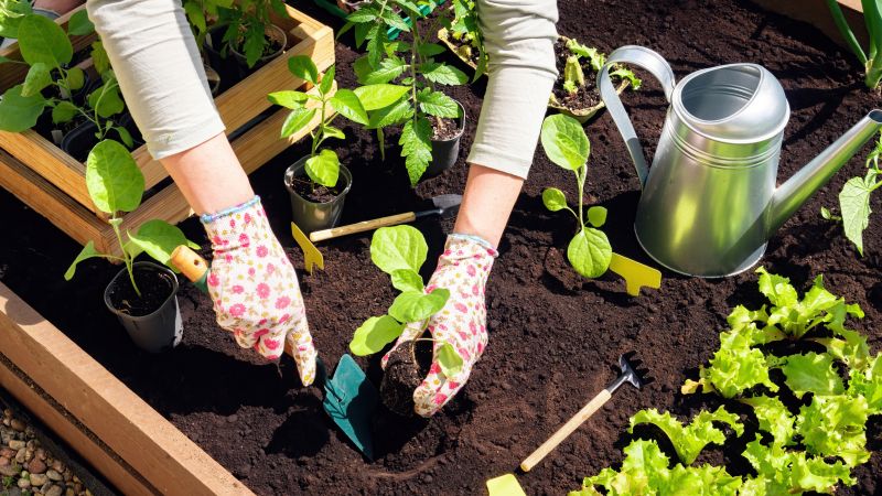 Garden Cleanup Service in Honolulu, HI