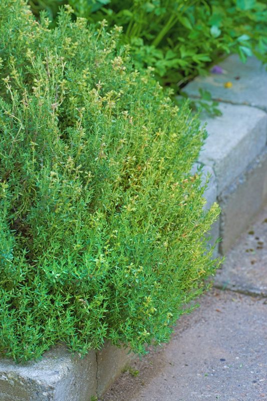 Garden Curbing Service in Citrus County, FL