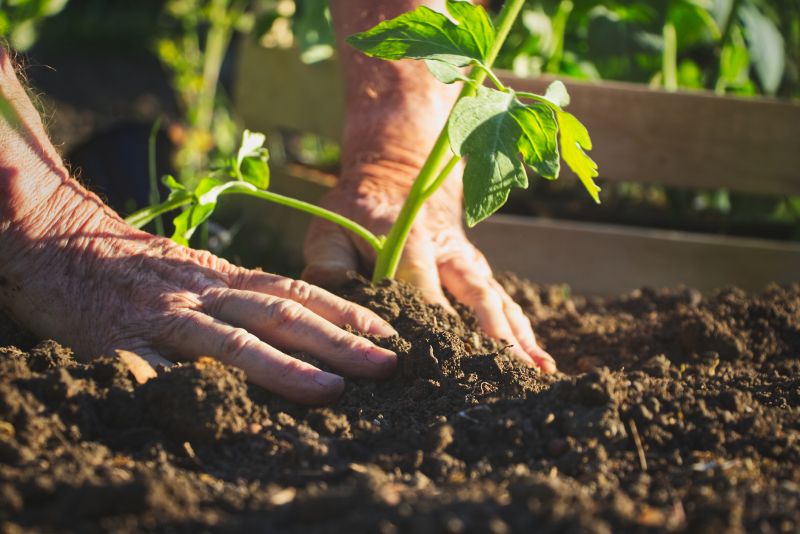 Gardening Service in Ventura County, CA