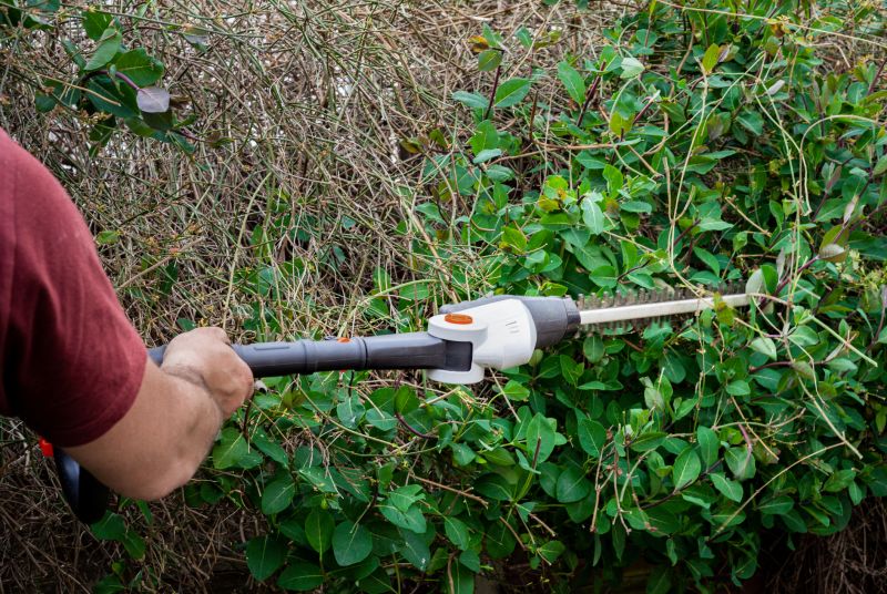 Hedge Landscaping in Ventura County, CA