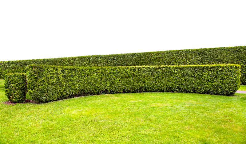 Hedge Replacement in Honolulu, HI