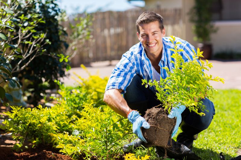 Hedge Replacement in Ventura County, CA