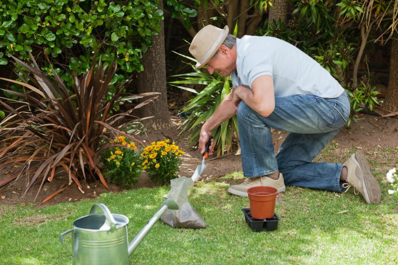 Beautiful Garden Scene