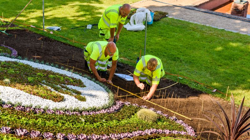 Landscaping Modification in Honolulu, HI
