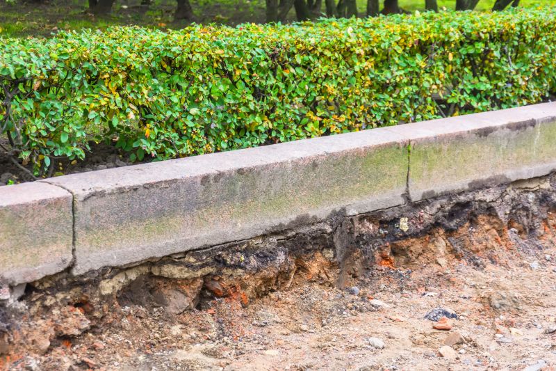 Lawn Border Installation in Citrus County, FL