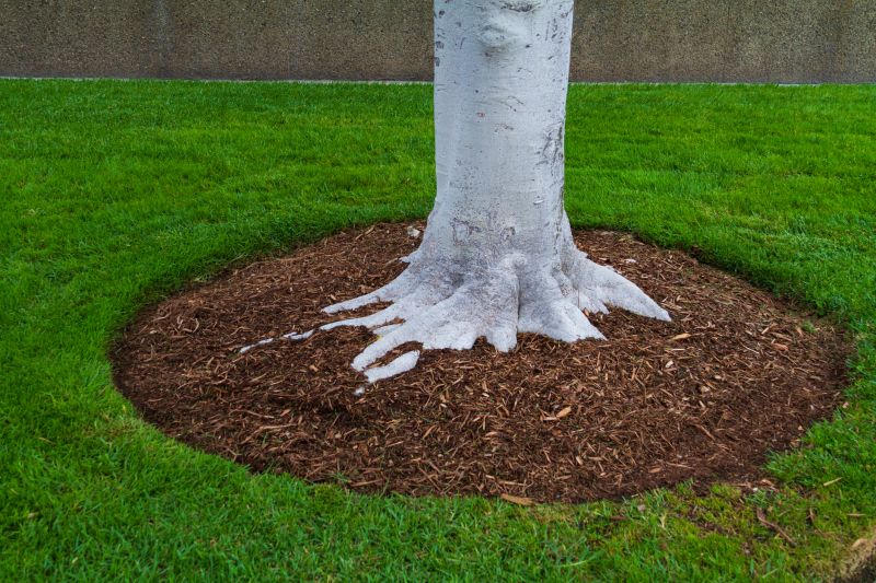 Red Mulch Installation in Honolulu, HI