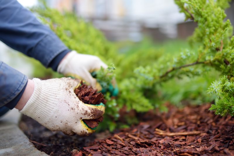 Residential Mulching in Honolulu, HI