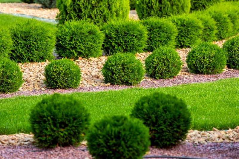 Shrub Installation in Ventura County, CA