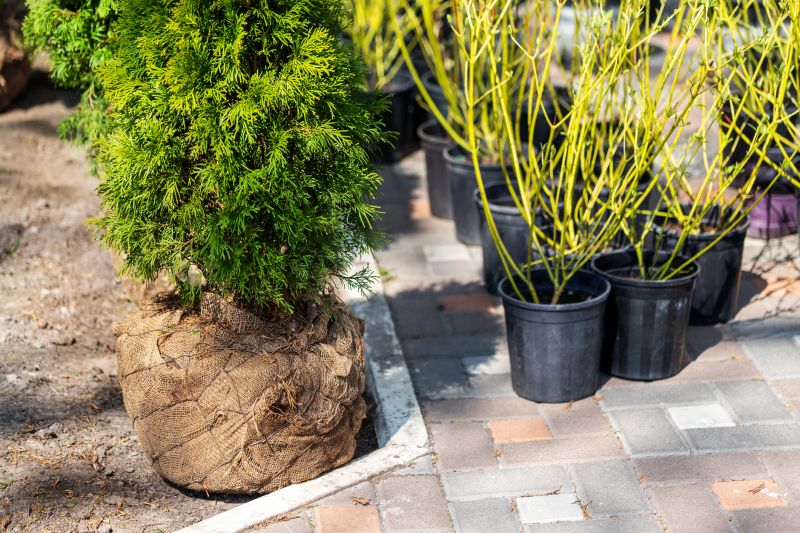 Shrub Planting Service in Ventura County, CA