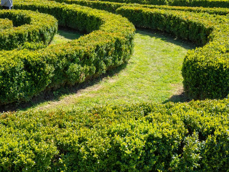 Softscaping Service in Ventura County, CA